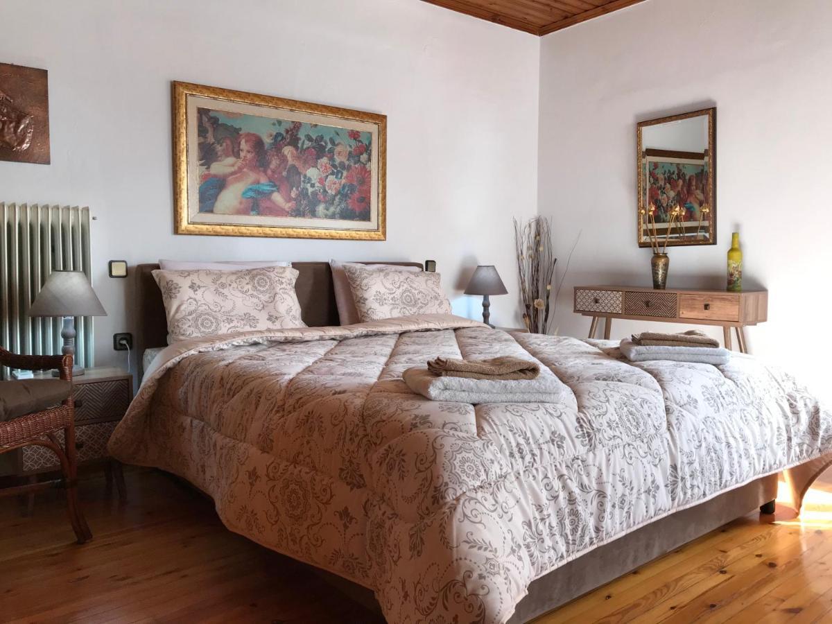 Sarakinas Farm House Калампака Экстерьер фото